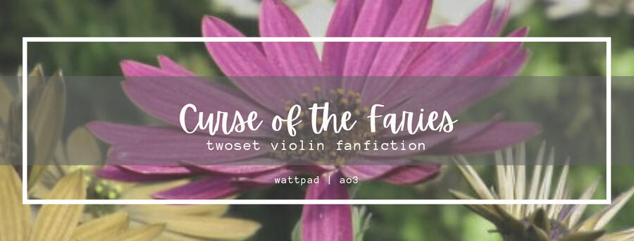 Twoset Violin